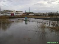 Нажми для просмотра dsc04016_t1.jpg