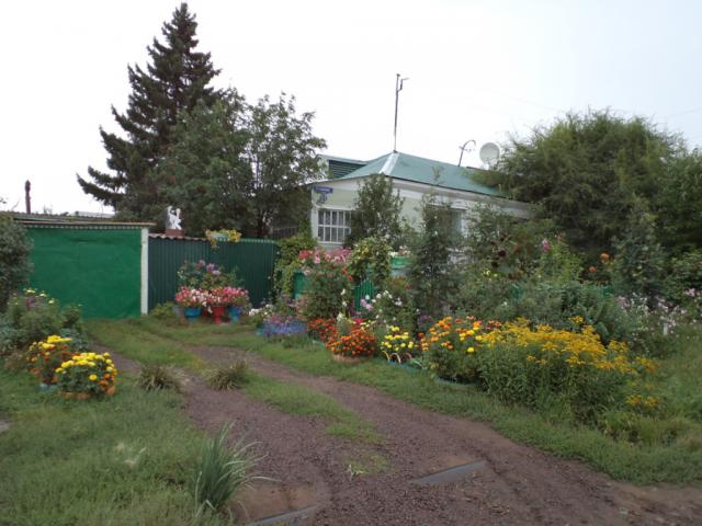 dsc00436_1.jpg
